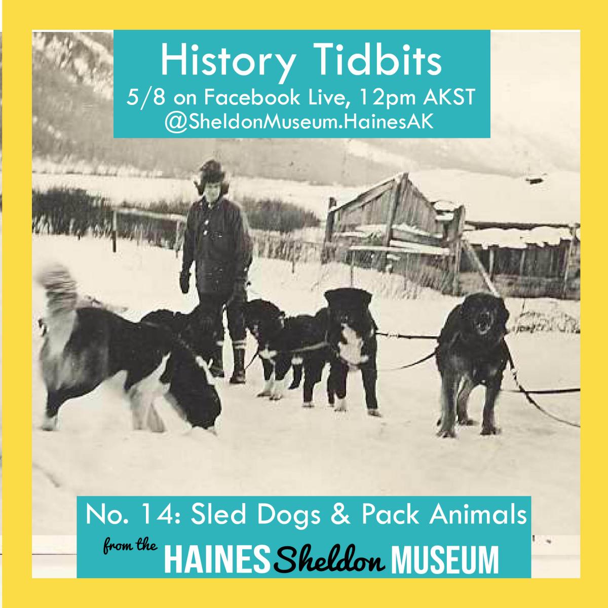 Sled Dogs and Pack Animals